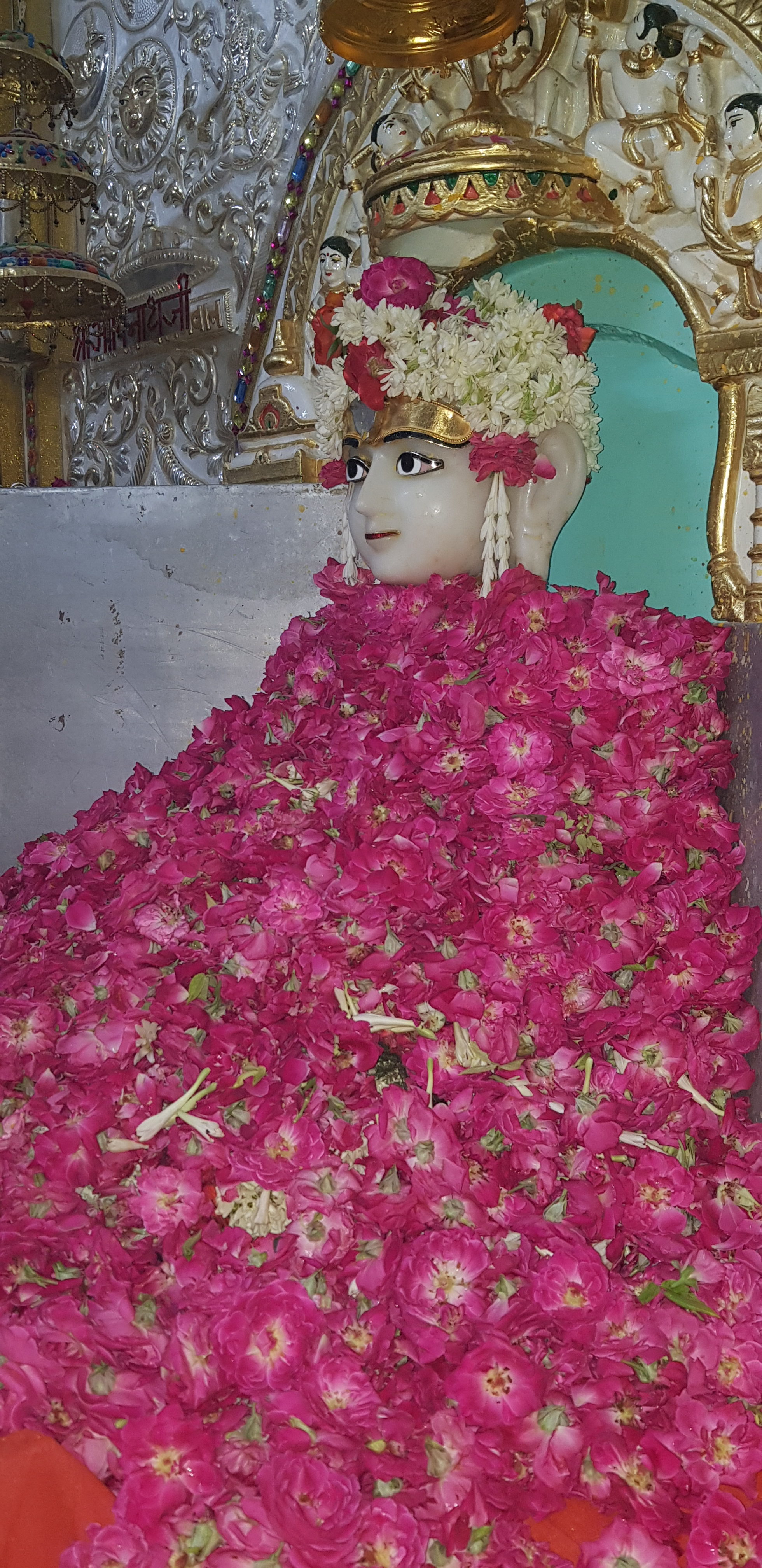 जैन सिलेबस : दर्शन आचार . ४ : अमूढ दृष्टि भाव - devardhi