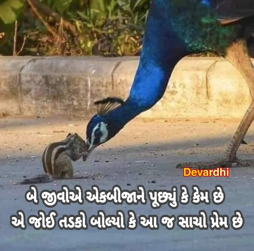 Prem