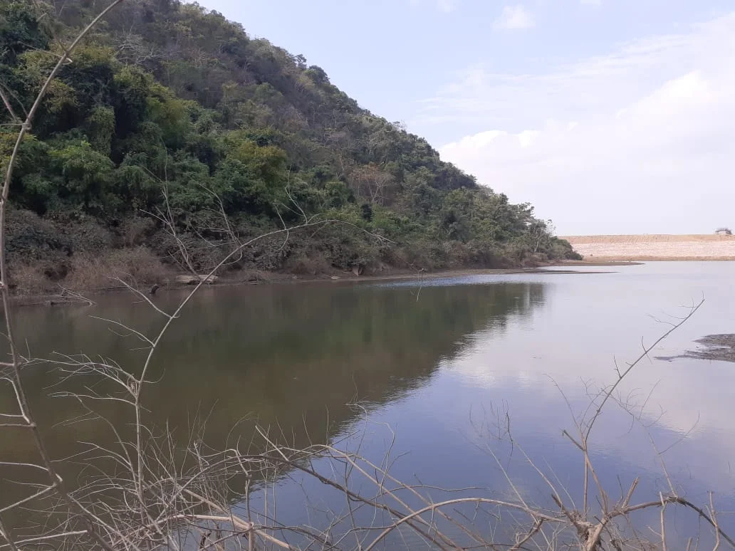 વનવગડે - ૧